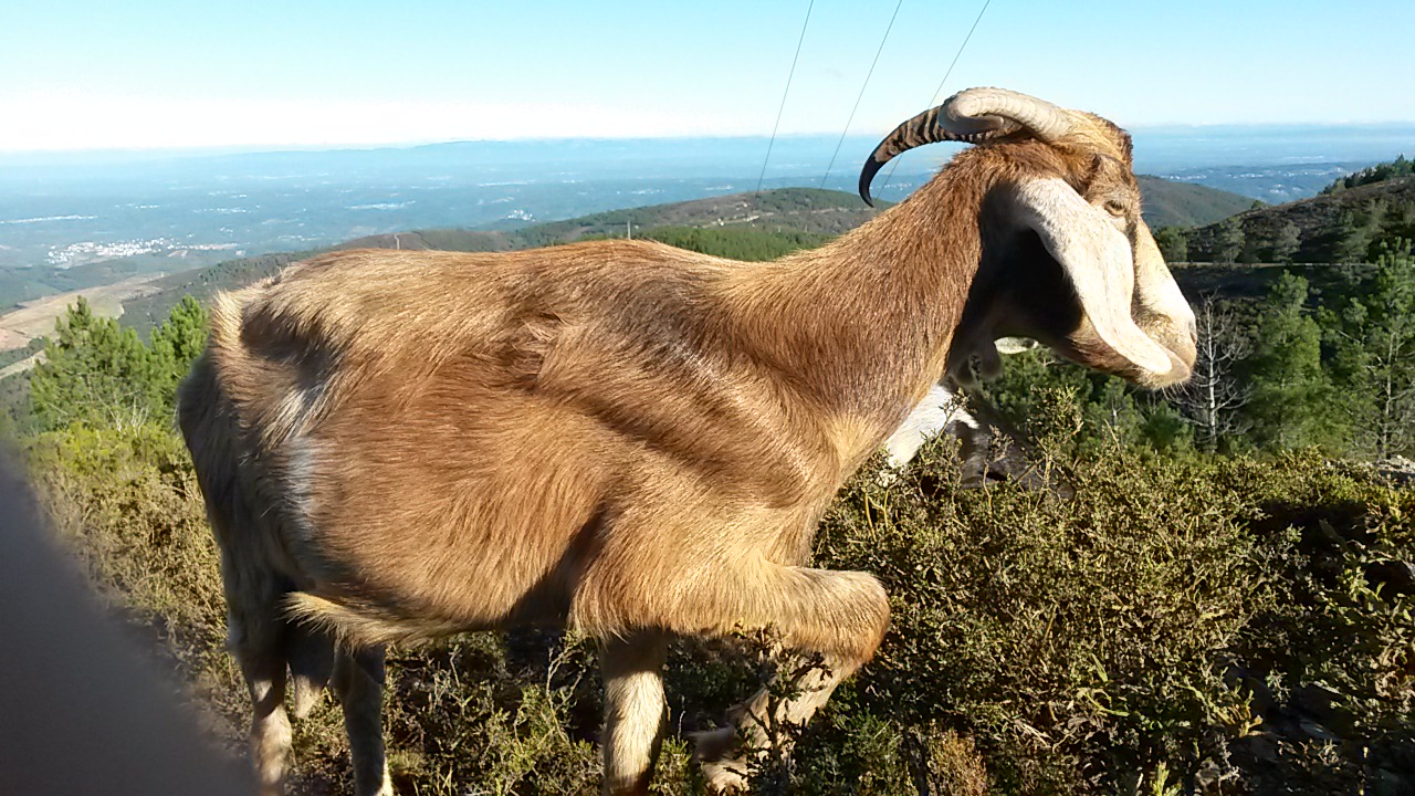 20170911_092050_2_bestshot